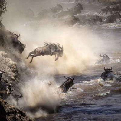 Mara Exclusive Safari 2 2