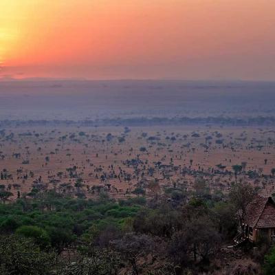 Serengeti Sunrise