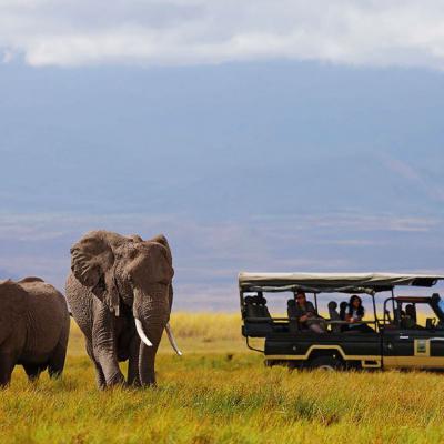 Intrepid Kenya